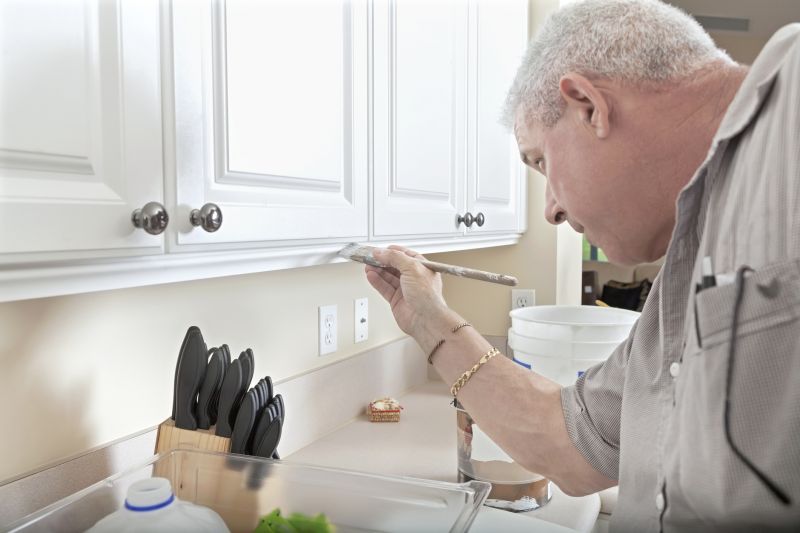 Best Cabinet Refinishing Contractors in Desoto, TX