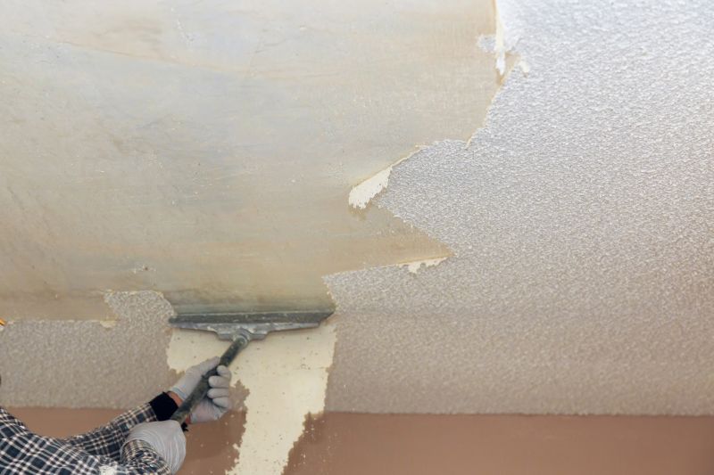 Ceiling Texture Removal detail